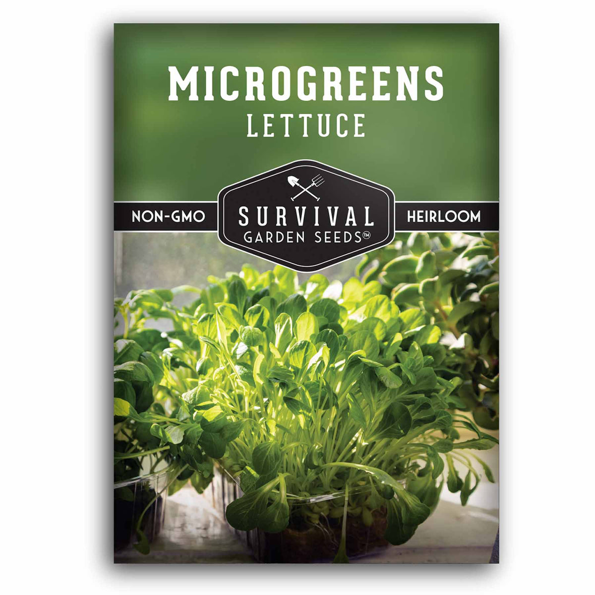 1 packet of Lettuce Microgreens seeds