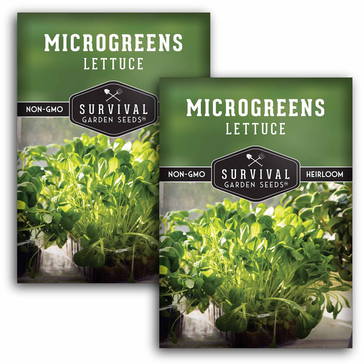 2 packets of Lettuce Microgreens seeds