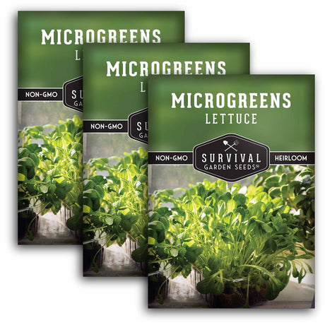 3 packets of Lettuce Microgreens seeds