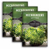 3 packets of Lettuce Microgreens seeds