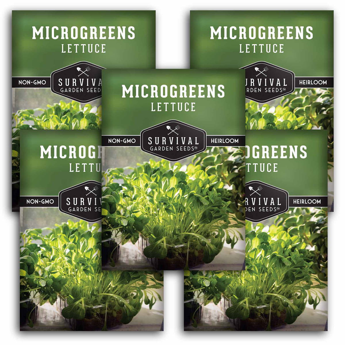 5 packets of Lettuce Microgreens seeds