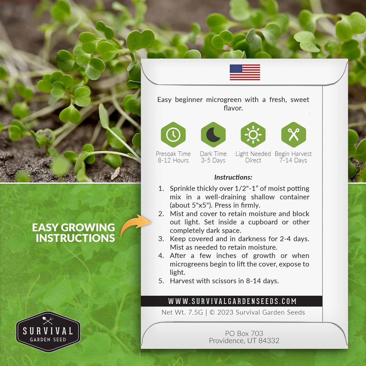 lettuce microgreens seeds growing instructions