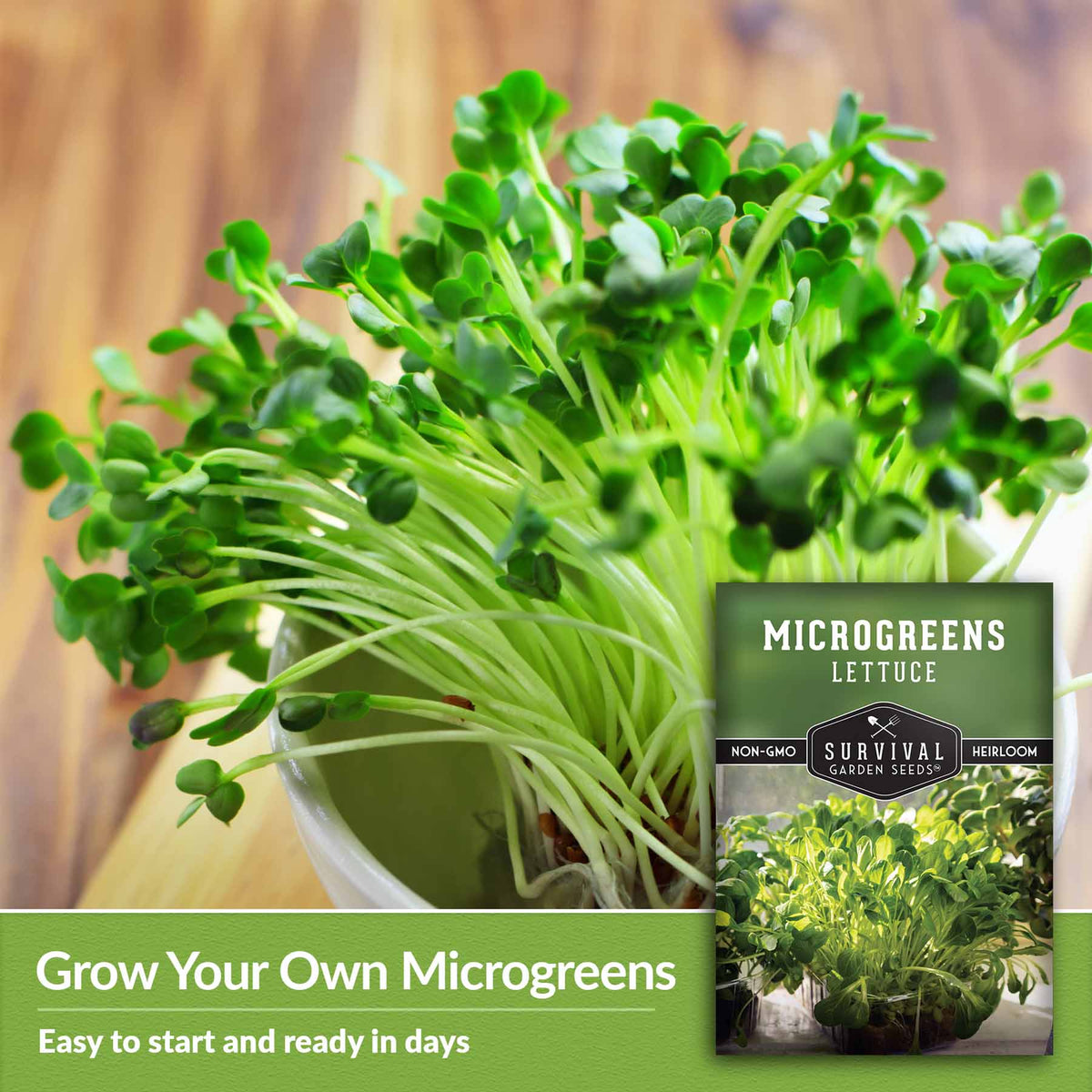 grow your own microgreens