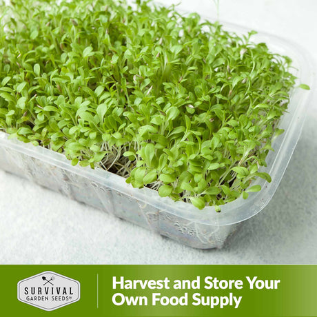 Harvest and store your own food supply