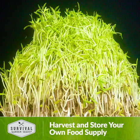 Harvest and store your own food supply