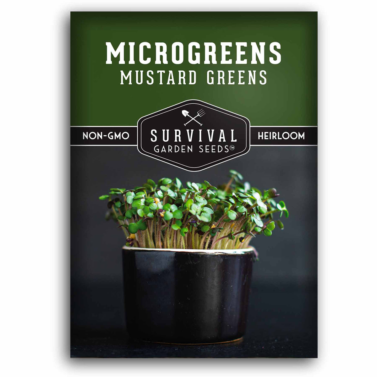 1 packet of Mustard Microgreens Seeds