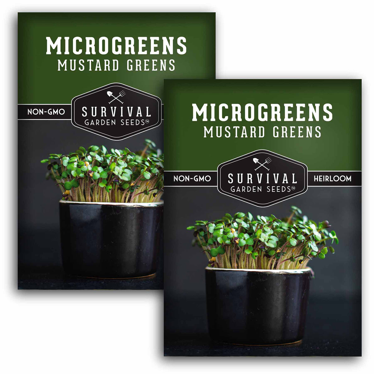 2 packets of mustard microgreen seeds