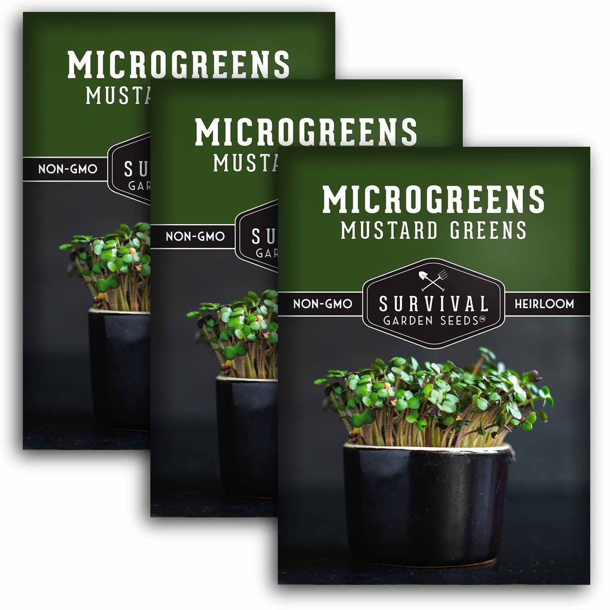 3 packets of mustard microgreen seeds