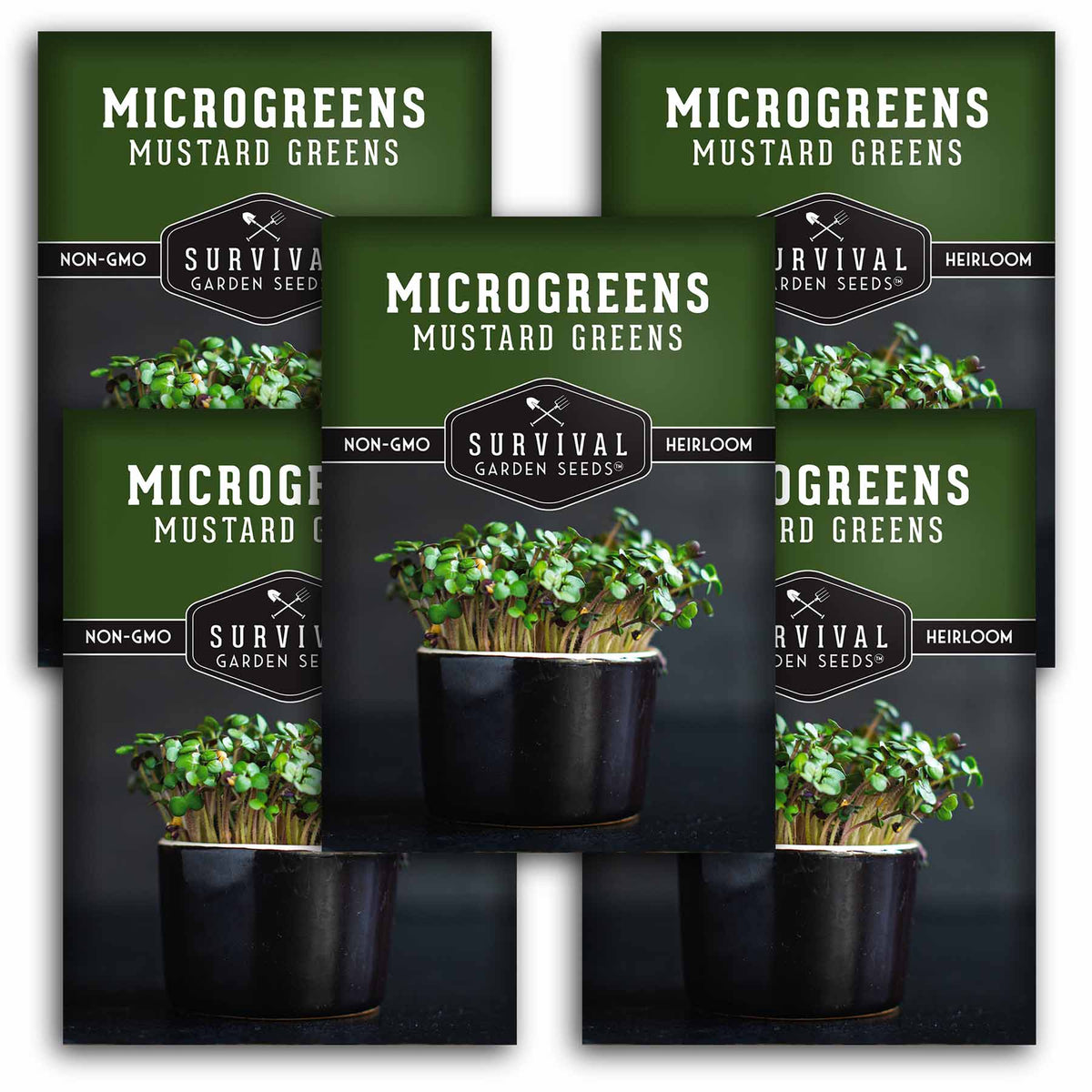 5 packets of mustard microgreen seeds