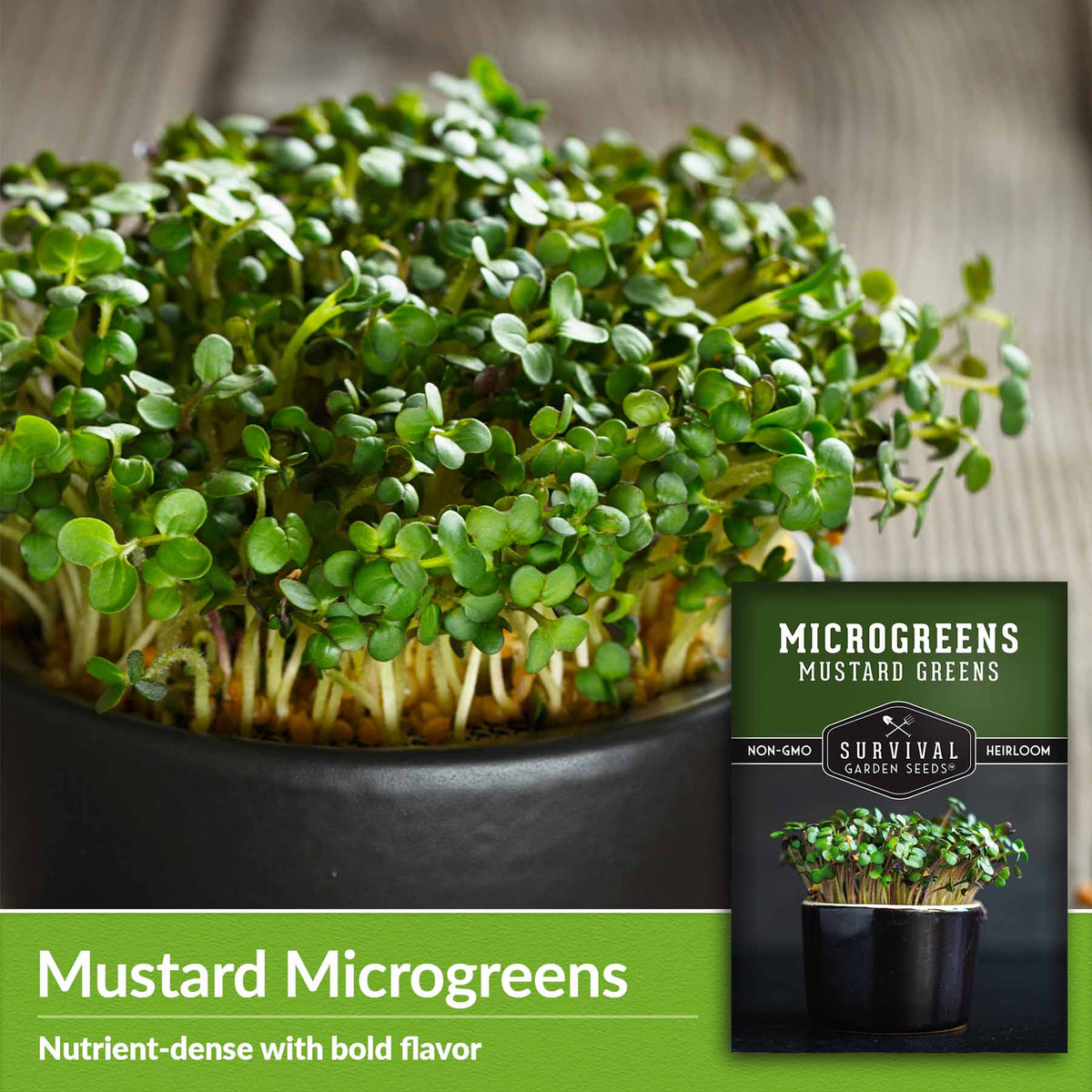 mustard microgreens - nutrient dense with bold flavor