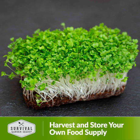 Harvest and store your own food supply