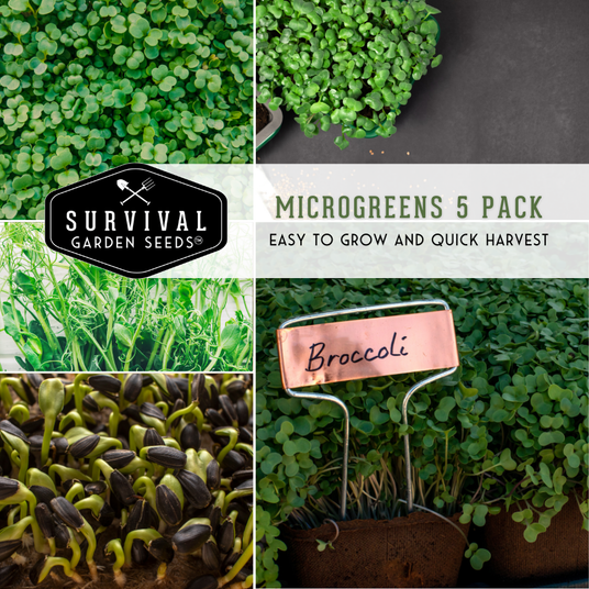 Microgreens 5 pack - easy to grow and quick to harvest