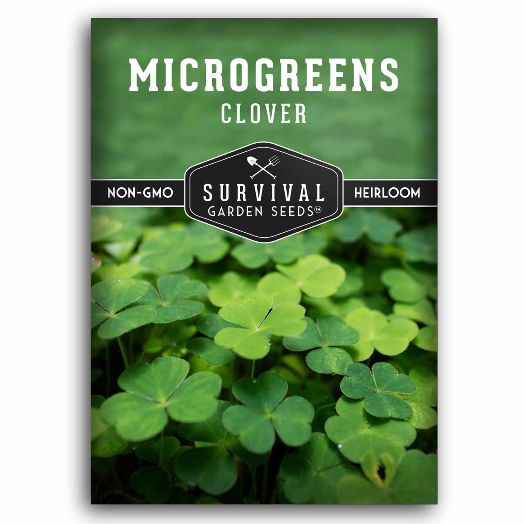 1 pack of Clover Microgreens seeds