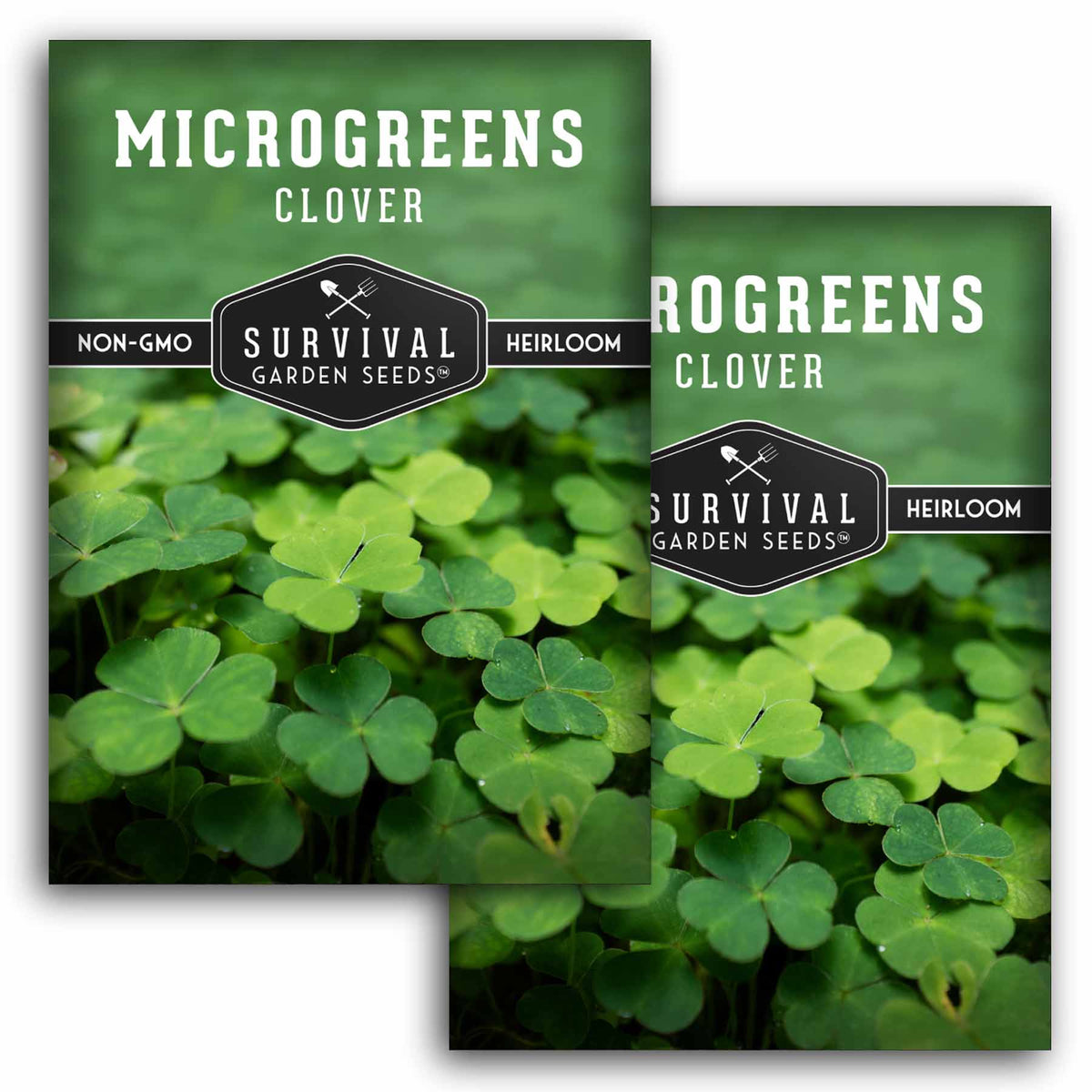 2 packs of Clover Microgreens seeds