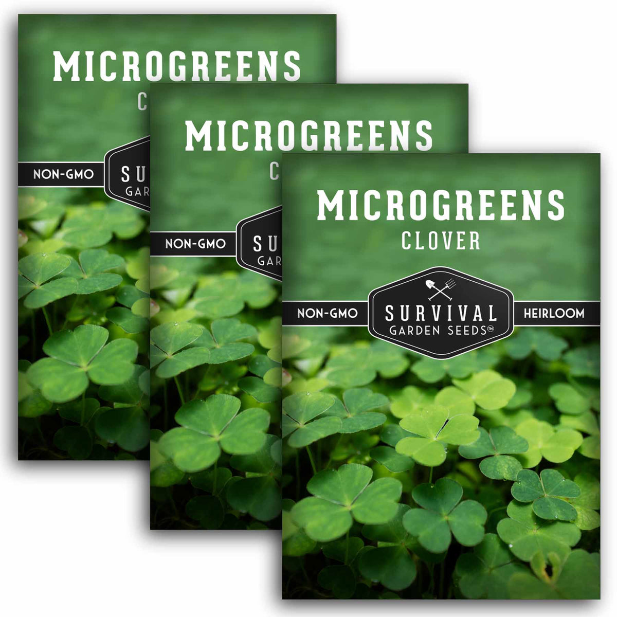 3 packs of Clover Microgreens seeds