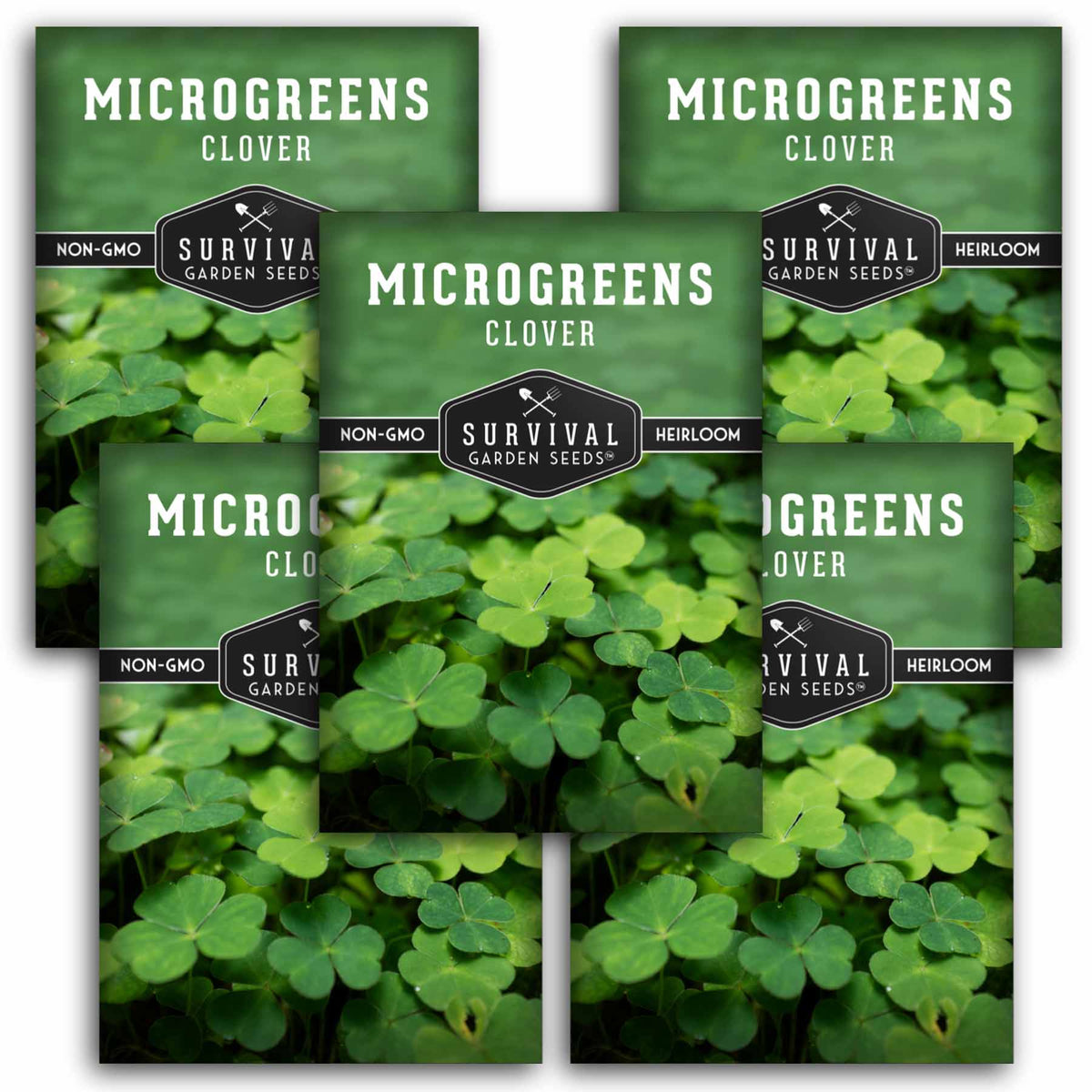 5 packs of Clover Microgreens seeds