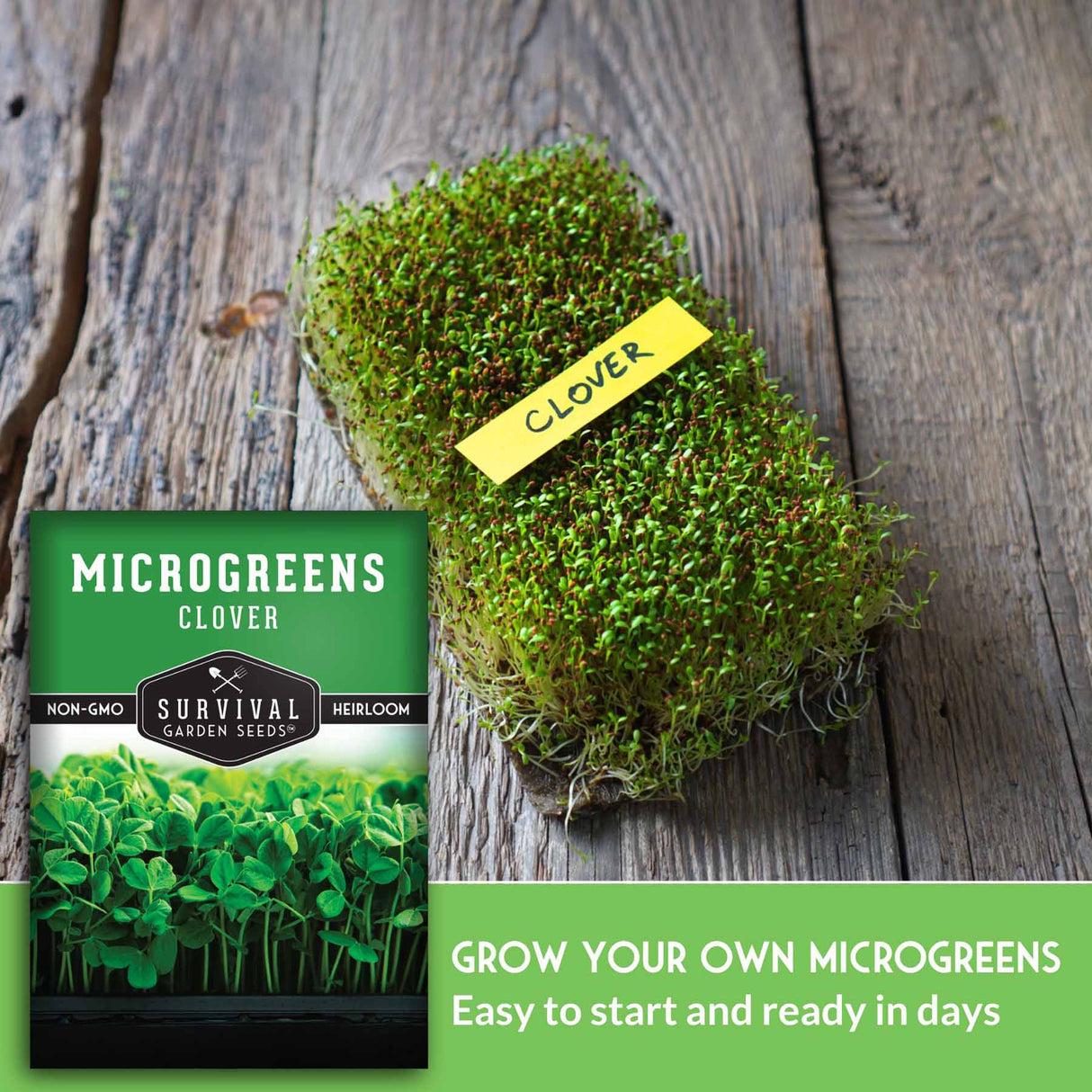 grow your own microgreens