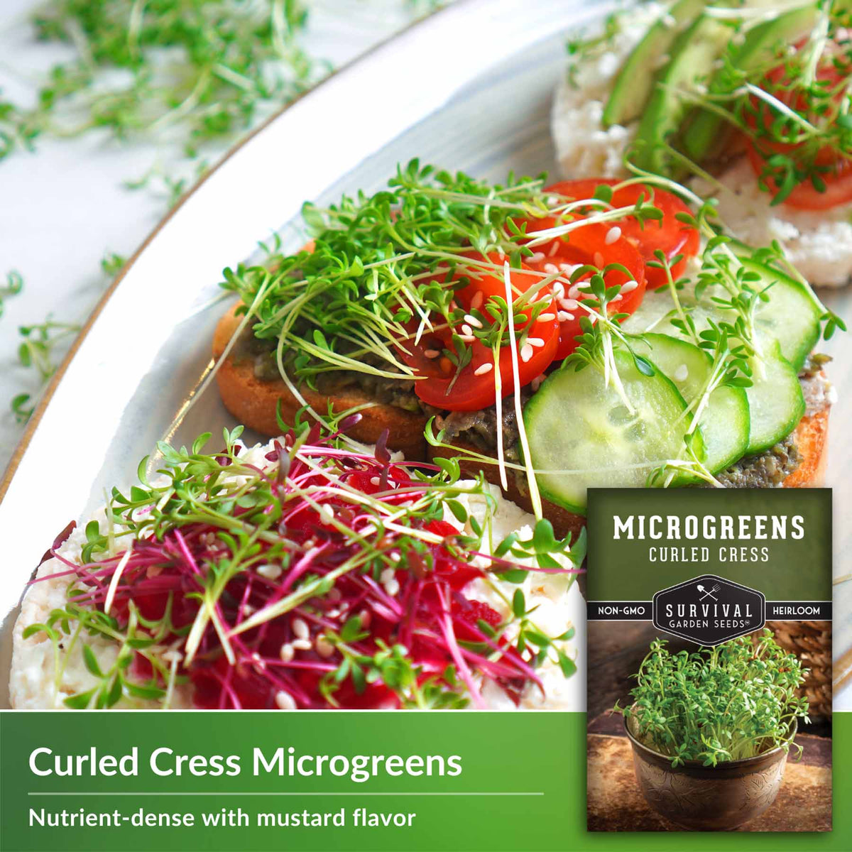 Curled Cress Microgreens