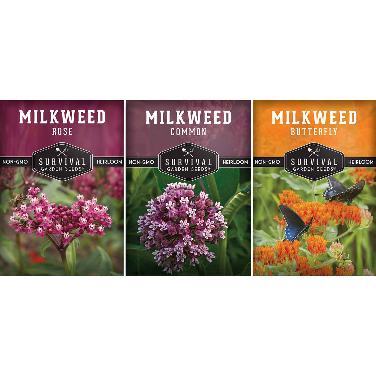 Milkweed Seed Collection