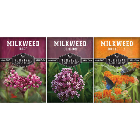 Milkweed Seed Collection