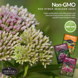 Milkweed plants with Survival Garden Seeds packages on a green background
