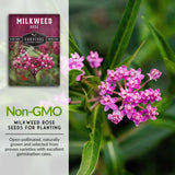 Non-GMO milkweed seeds