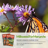 Milkweed for monarchs