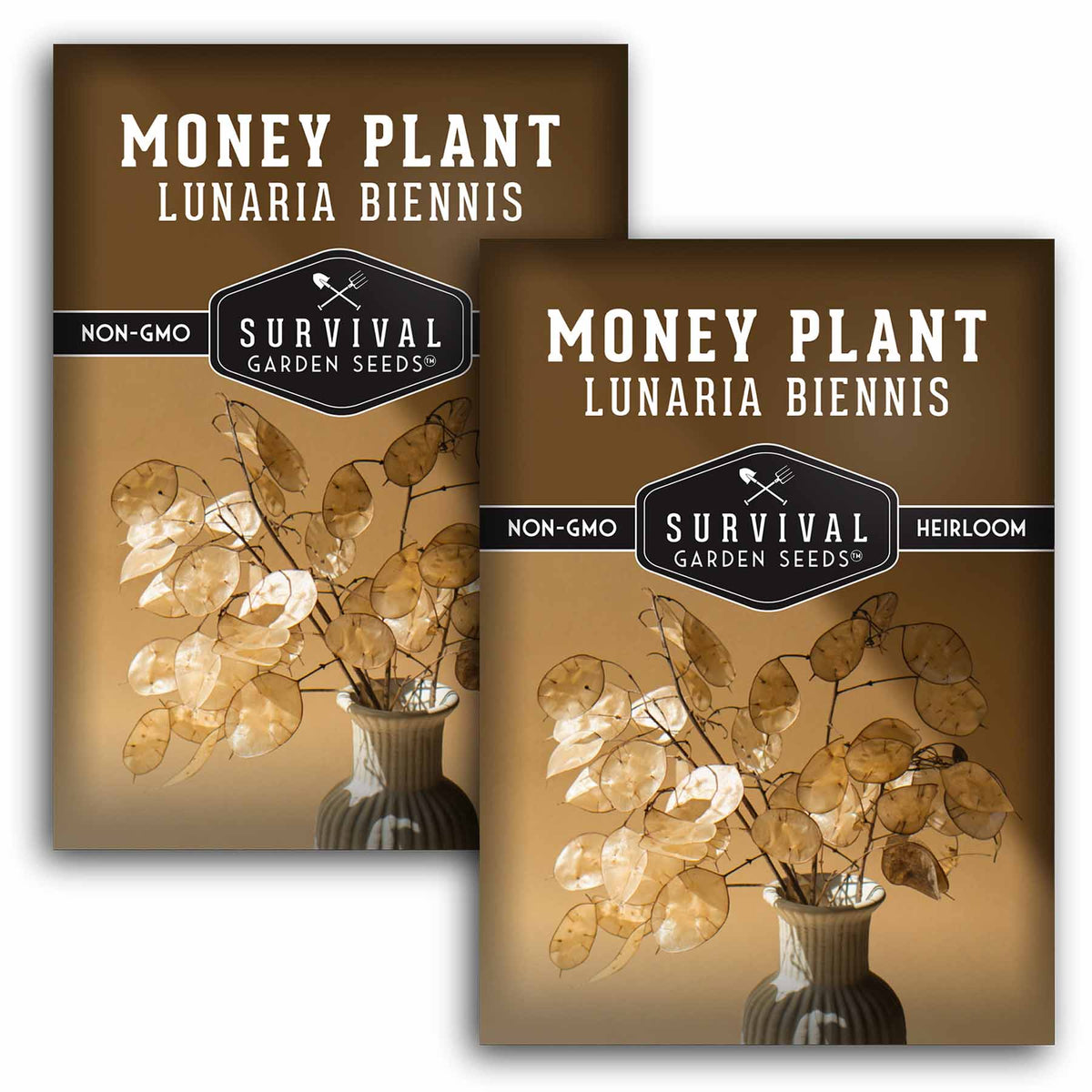2 packets of Money Plant seeds