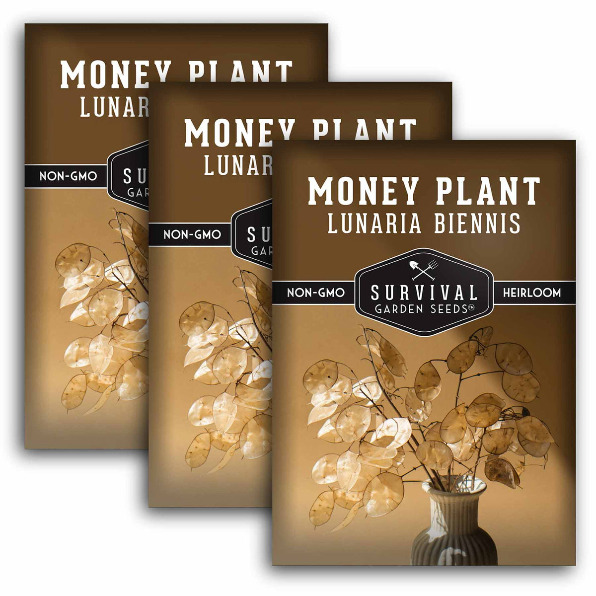 3 packets of Money Plant seeds