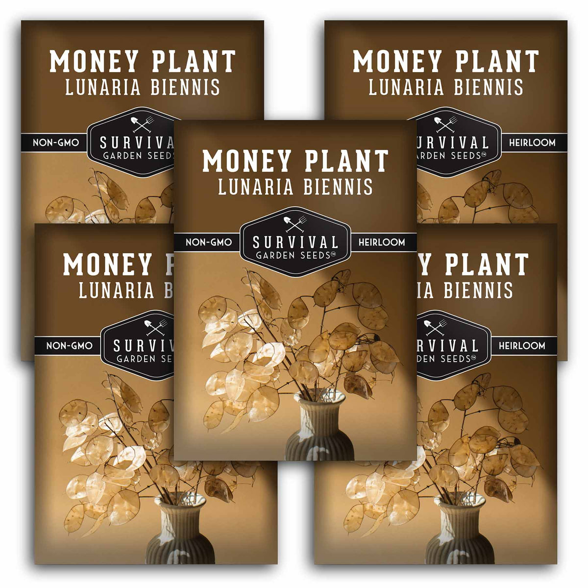 5 packets of Money Plant seeds