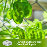 Harvest and store your own food supply