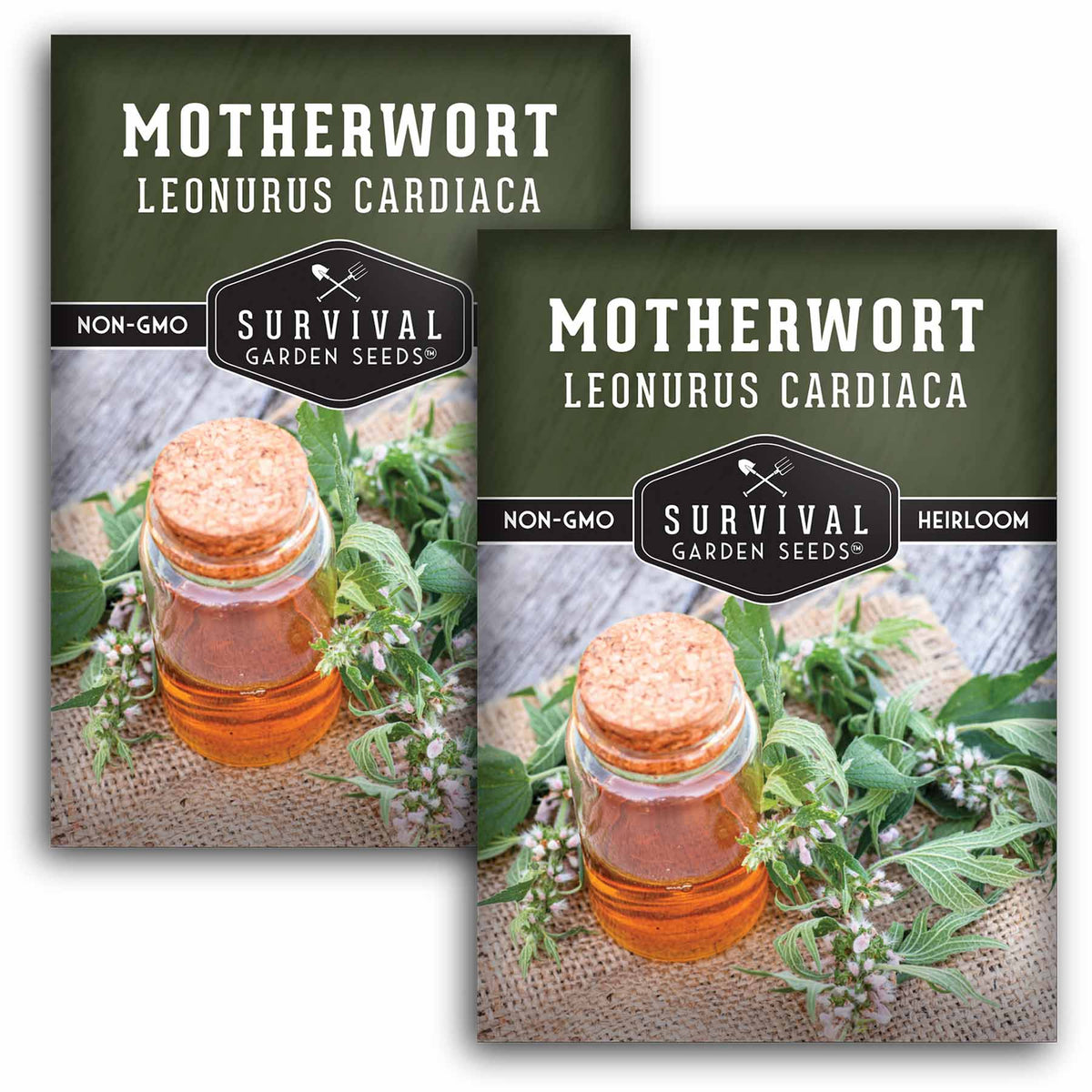 2 packets of Motherwort seeds