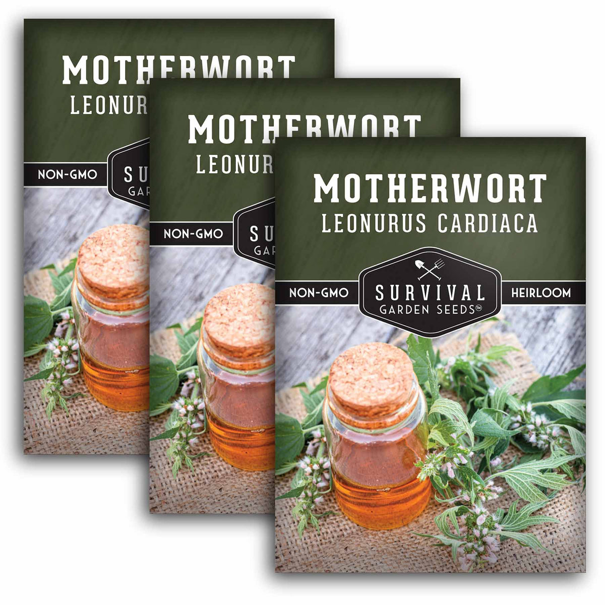 3 packets of Motherwort seeds