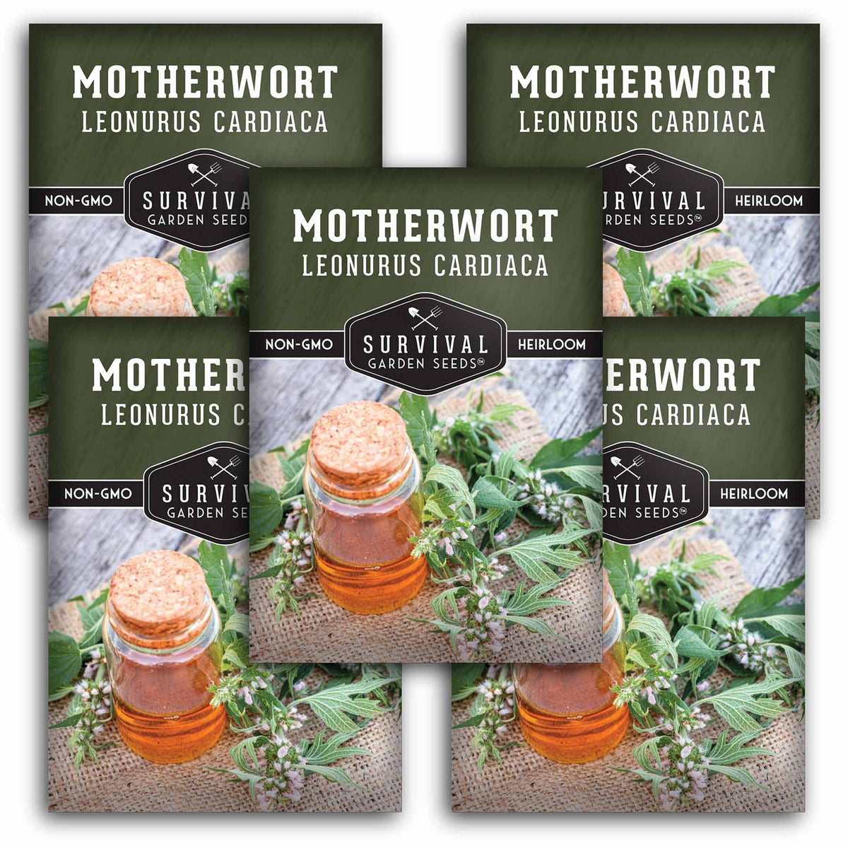 5 packets of Motherwort seeds
