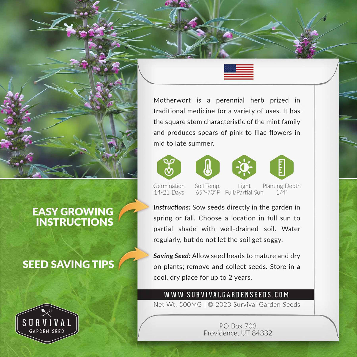 Motherwort seed growing instructions