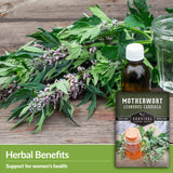 Herbal benefits - support women's health