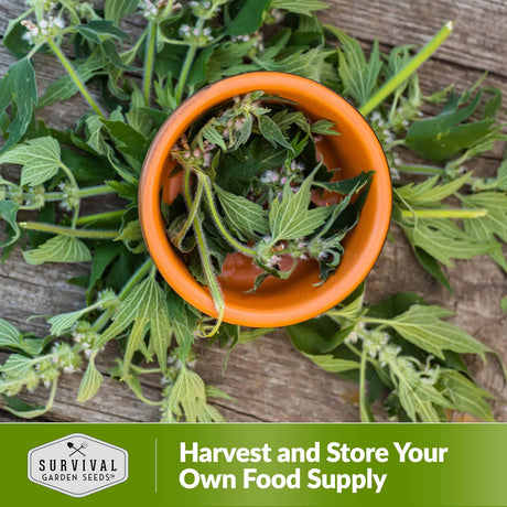 Harvest and store your own food supply