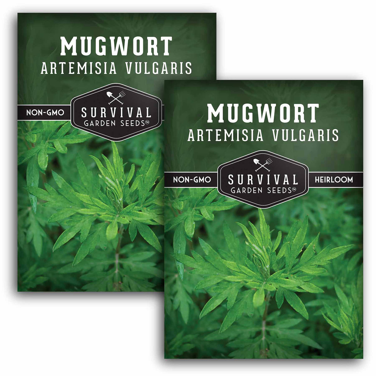 2 packets of Mugwort seeds
