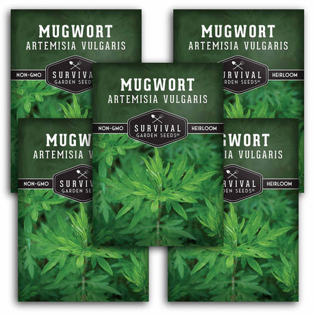 5 packets of Mugwort seeds