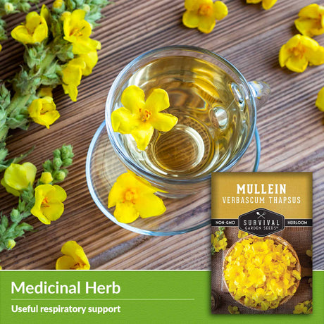 medicinal herbs