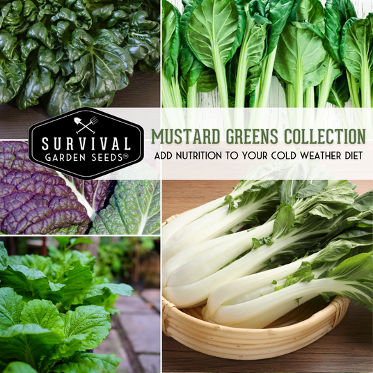 5 types of mustard greens