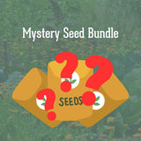 Mystery Seed Bundle