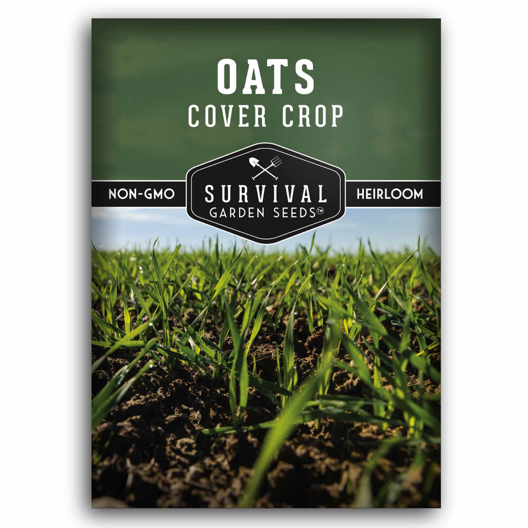 Survival Garden Seeds Oats Cover Crop Seed for Planting