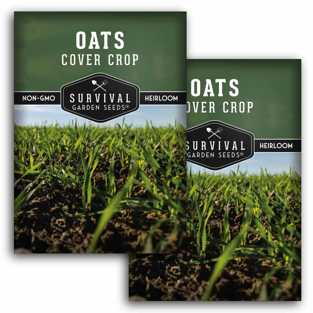 2 packets of Oat seeds