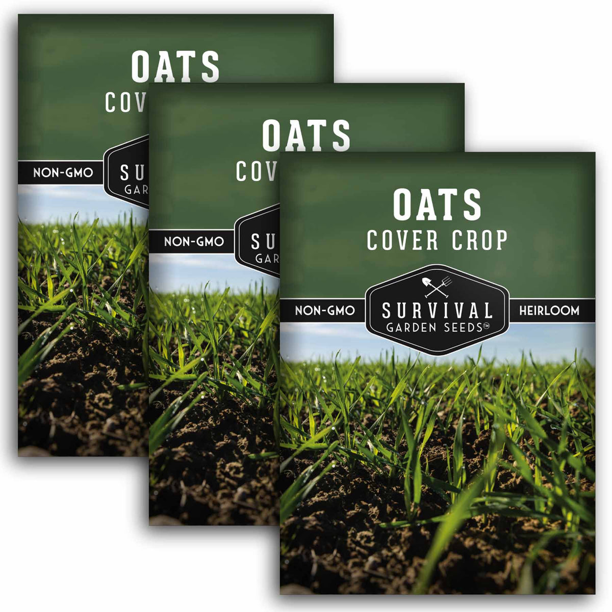 3 packets of Oat seeds