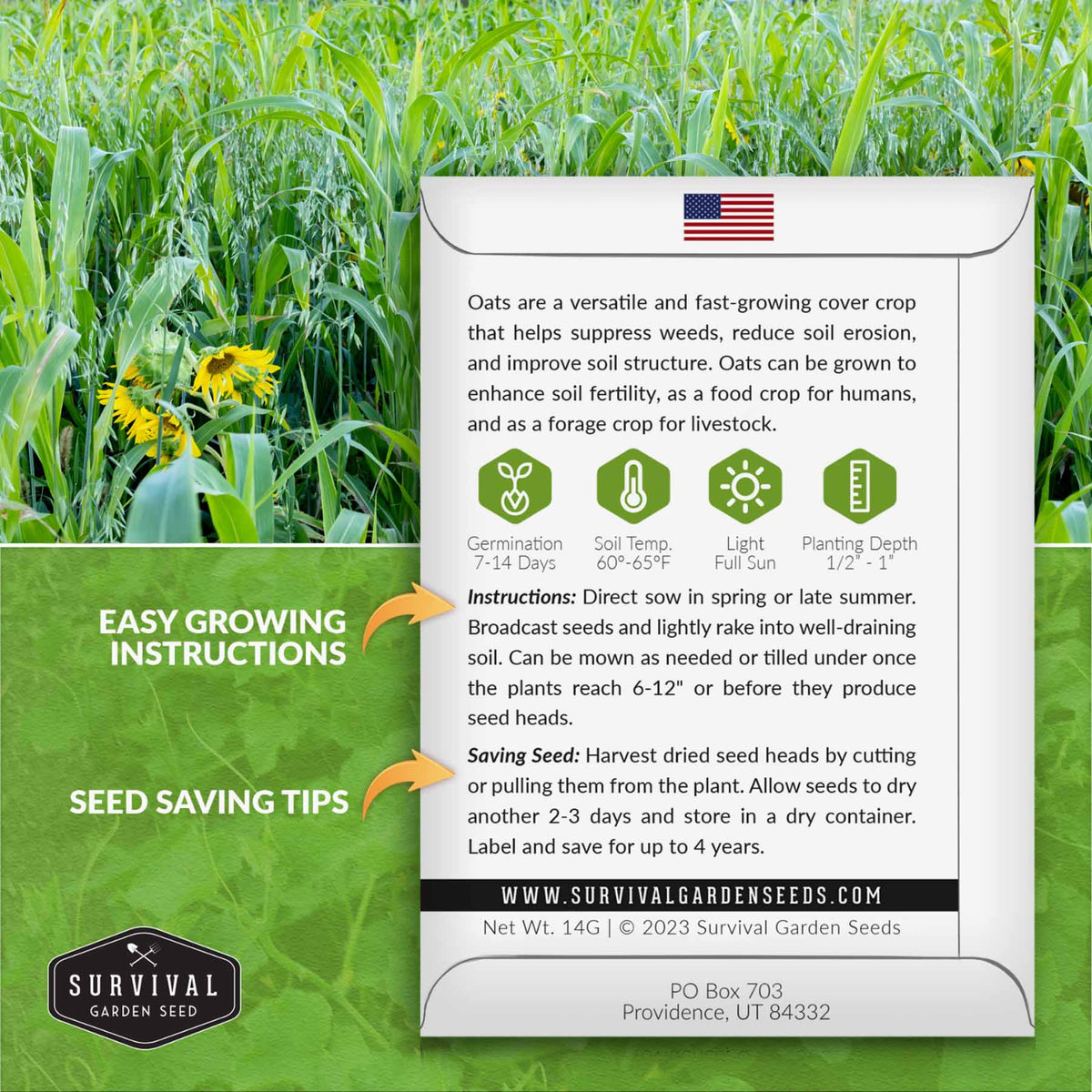 Oat seed growing instructions