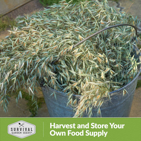 Harvest and store your own food supply