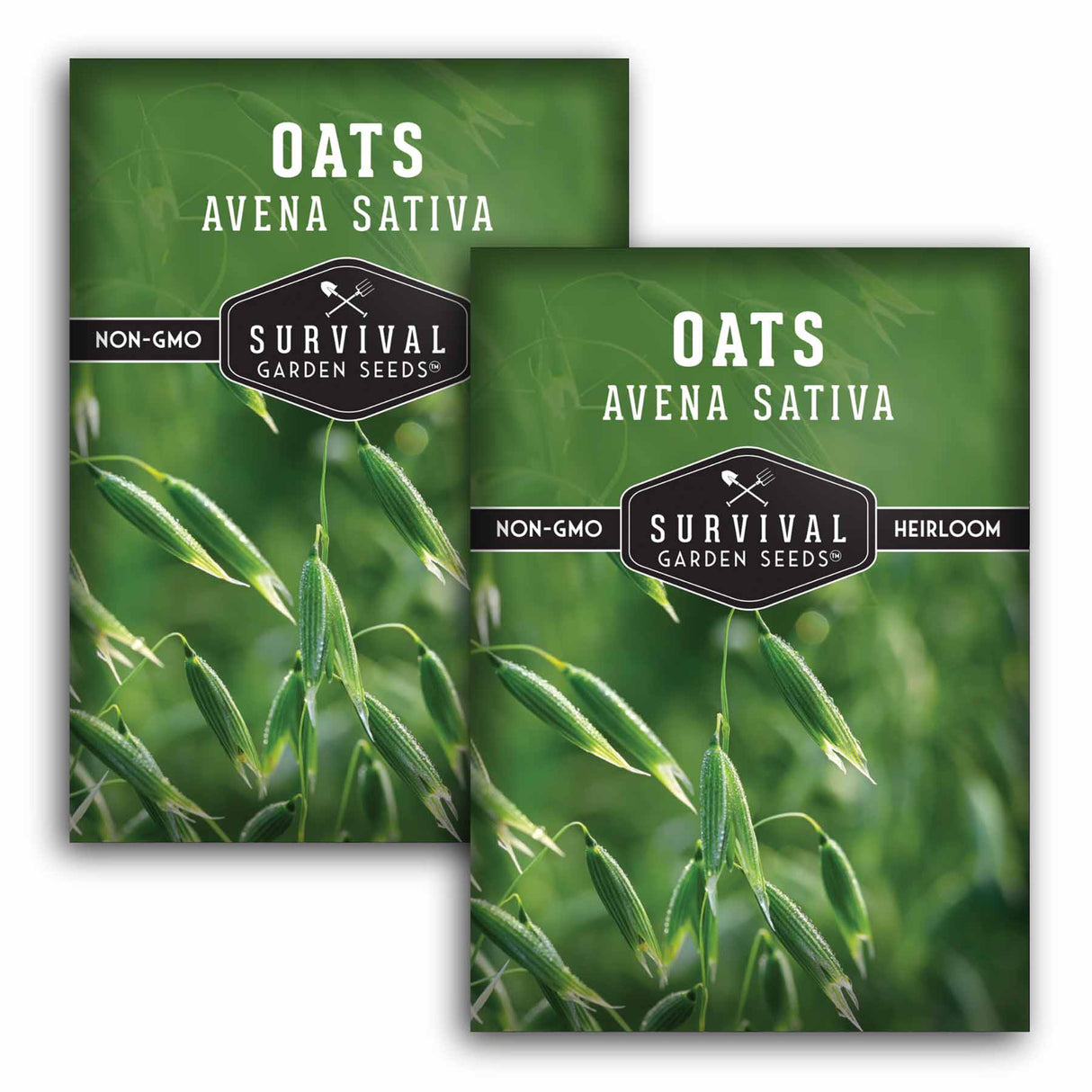 2 Packets of Oat seeds