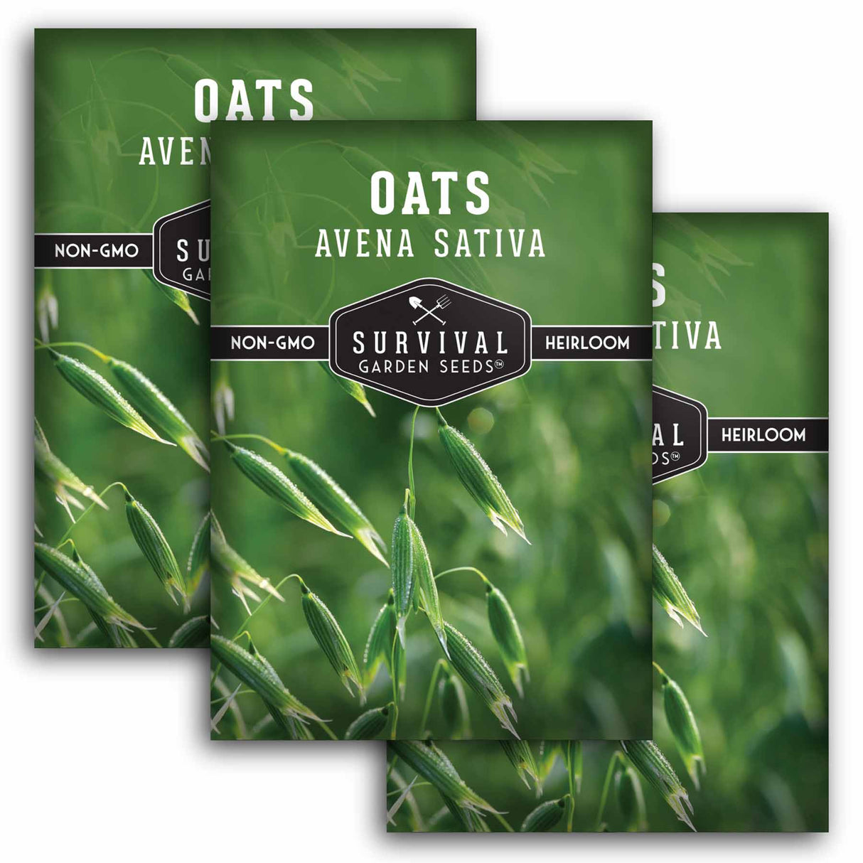 3 Packets of Oat seeds