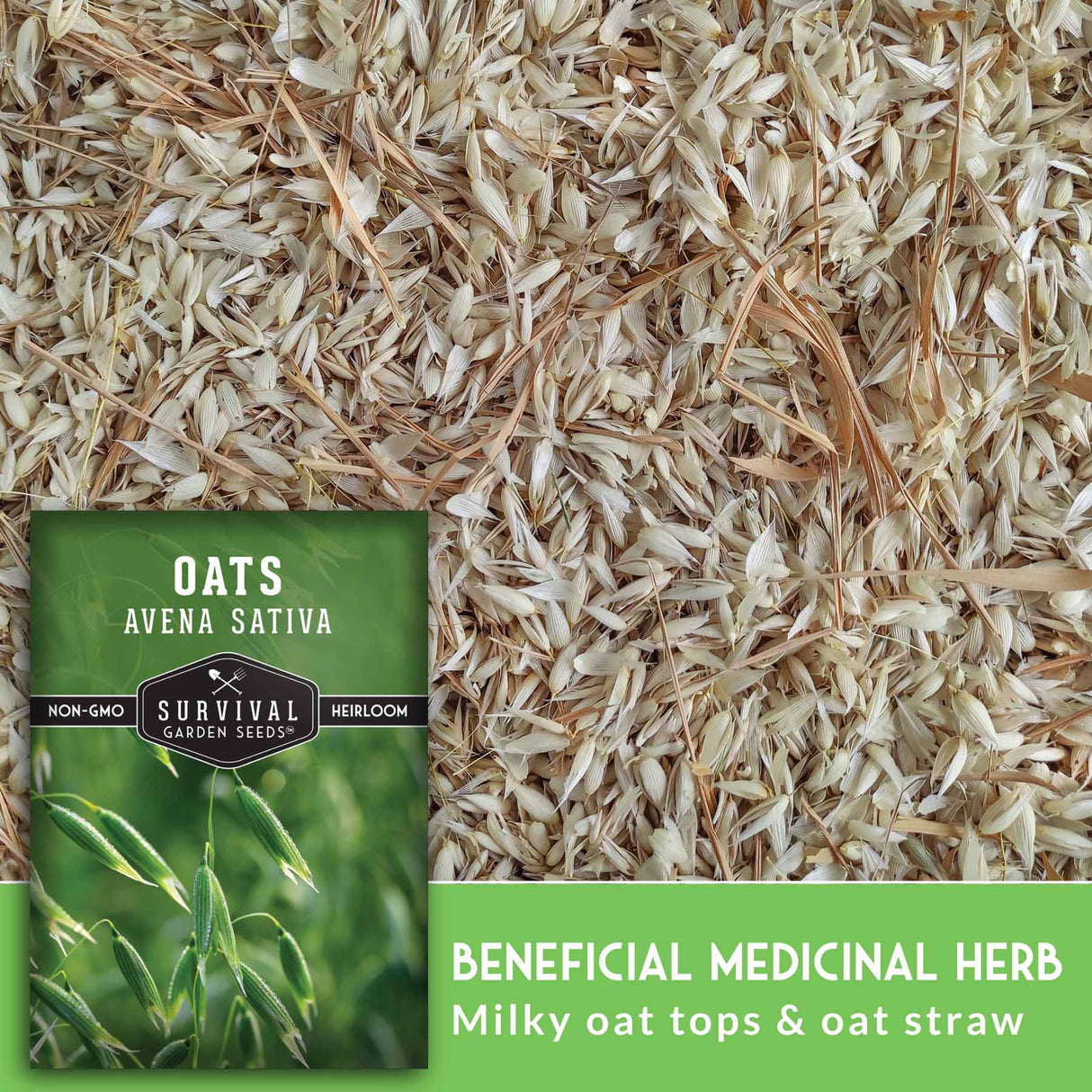 Beneficial Medicinal Herb - milky oat tops and oat straw